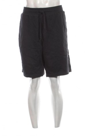 Pánske kraťasy  Under Armour, Veľkosť XL, Farba Modrá, Cena  23,95 €