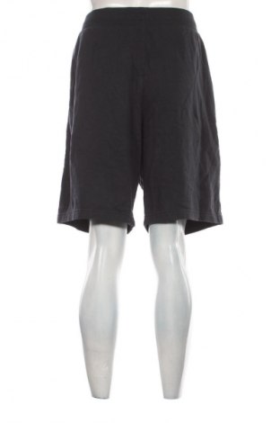 Pánske kraťasy  Under Armour, Veľkosť XL, Farba Modrá, Cena  23,95 €
