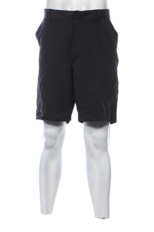 Herren Shorts Under Armour, Größe L, Farbe Blau, Preis € 16,99