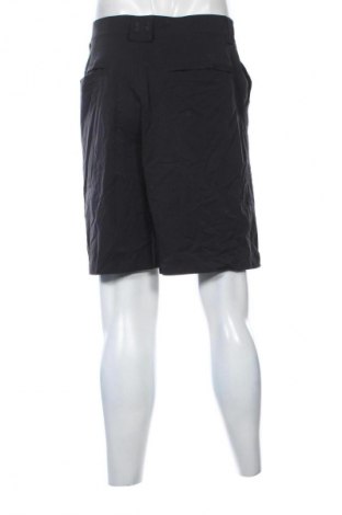 Herren Shorts Under Armour, Größe L, Farbe Blau, Preis € 16,99
