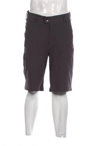 Herren Shorts Urban Active, Größe L, Farbe Grau, Preis 5,99 €