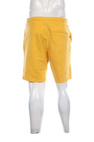 Herren Shorts VANQUISH, Größe L, Farbe Gelb, Preis € 13,99