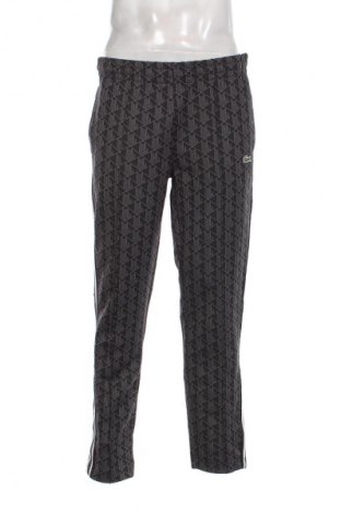 Pantaloni de bărbați Lacoste, Mărime M, Culoare Multicolor, Preț 649,99 Lei