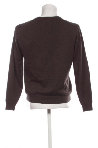 Herrenpullover Paul Rosen, Größe S, Farbe Braun, Preis 42,99 €