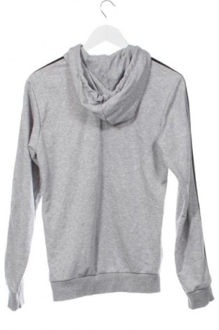 Herren Sweatshirt Adidas, Größe XS, Farbe Grau, Preis 26,84 €