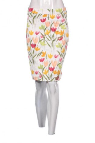 Fustă Danini, Mărime S, Culoare Multicolor, Preț 50,00 Lei