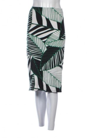 Fustă Dorothy Perkins, Mărime XXL, Culoare Multicolor, Preț 100,96 Lei