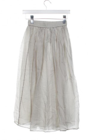 Fustă H&M, Mărime XS, Culoare Gri, Preț 61,00 Lei
