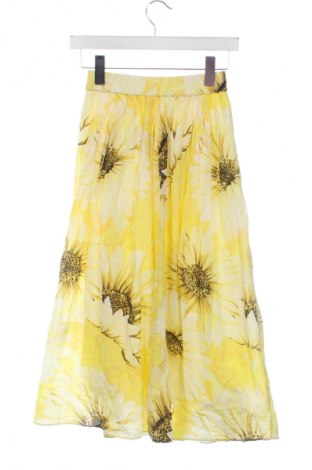 Φούστα H&M, Μέγεθος XS, Χρώμα Πολύχρωμο, Τιμή 7,99 €