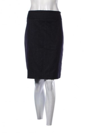 Φούστα Liz Claiborne, Μέγεθος M, Χρώμα Πολύχρωμο, Τιμή 9,72 €