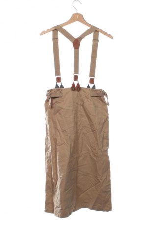 Fustă Unbranded, Mărime XS, Culoare Maro, Preț 78,99 Lei