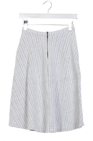 Φούστα Unbranded, Μέγεθος XS, Χρώμα Πολύχρωμο, Τιμή 6,99 €