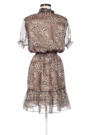Kleid 29DESIRES, Größe M, Farbe Mehrfarbig, Preis 37,66 €