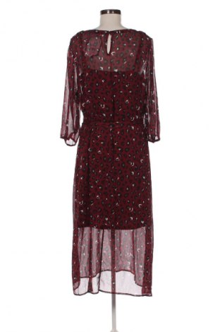 Kleid B Collection, Größe XXL, Farbe Mehrfarbig, Preis 31,99 €