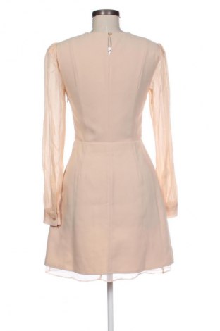 Kleid Betty Blue, Größe L, Farbe Beige, Preis 41,98 €