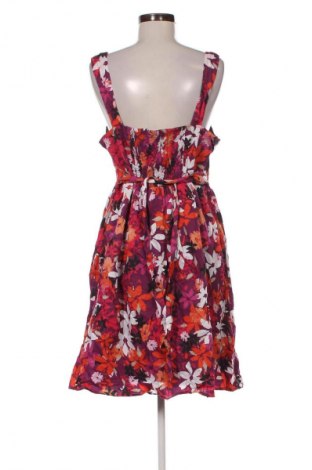 Φόρεμα Debenhams, Μέγεθος XL, Χρώμα Πολύχρωμο, Τιμή 16,99 €