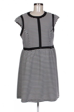 Šaty  Dorothy Perkins, Velikost XL, Barva Vícebarevné, Cena  341,00 Kč