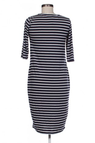 Φόρεμα Dorothy Perkins, Μέγεθος M, Χρώμα Πολύχρωμο, Τιμή 17,38 €