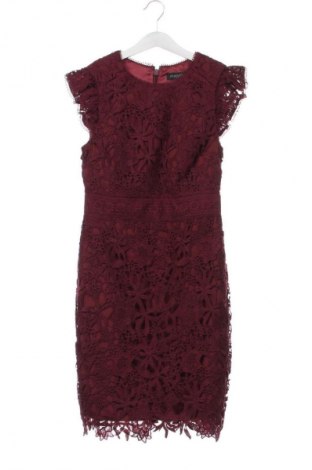 Φόρεμα Forever New, Μέγεθος XS, Χρώμα Πολύχρωμο, Τιμή 34,99 €