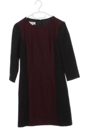 Kleid Hobbs London, Größe XXS, Farbe Mehrfarbig, Preis 127,27 €