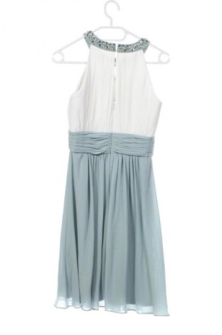 Φόρεμα Jake*s, Μέγεθος XS, Χρώμα Πολύχρωμο, Τιμή 89,99 €