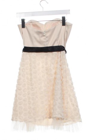 Kleid Limited Collection, Größe M, Farbe Mehrfarbig, Preis € 11,99