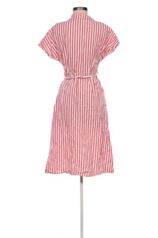 Kleid Papaya, Größe M, Farbe Mehrfarbig, Preis € 24,99