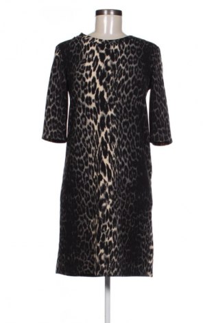 Kleid Promod, Größe M, Farbe Mehrfarbig, Preis 24,49 €