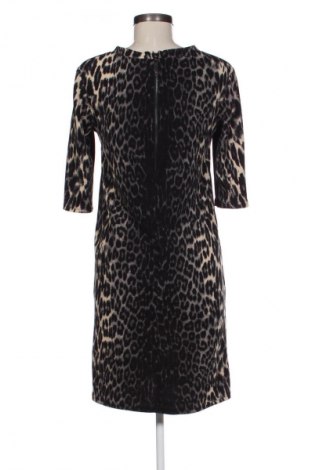 Kleid Promod, Größe M, Farbe Mehrfarbig, Preis 24,49 €