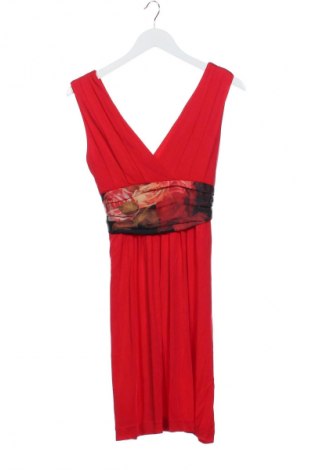Šaty  Ted Baker, Veľkosť XS, Farba Červená, Cena  80,31 €