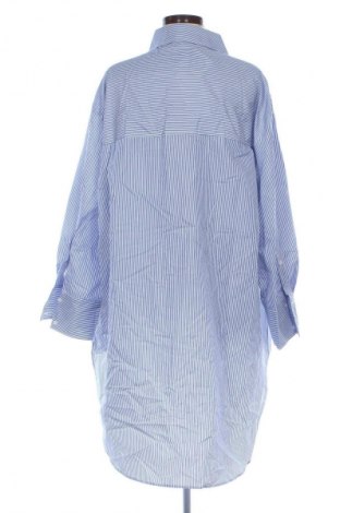 Šaty  Zara, Velikost XL, Barva Vícebarevné, Cena  1 249,00 Kč