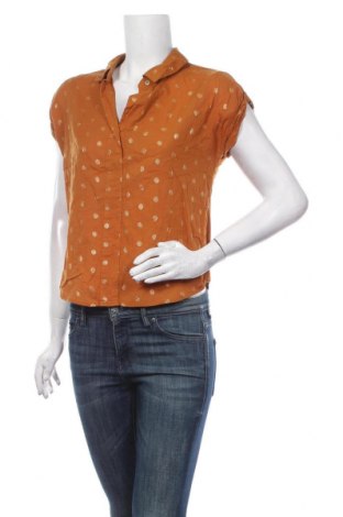 Γυναικεία μπλούζα A New Day, Μέγεθος XS, Χρώμα Καφέ, Τιμή 16,89 €