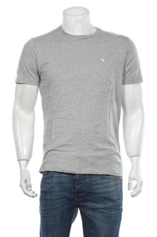 Ανδρικό t-shirt Abercrombie & Fitch, Μέγεθος L, Χρώμα Γκρί, Βαμβάκι, Τιμή 22,37 €