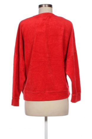 Γυναικεία μπλούζα Aerie, Μέγεθος M, Χρώμα Κόκκινο, Τιμή 3,76 €