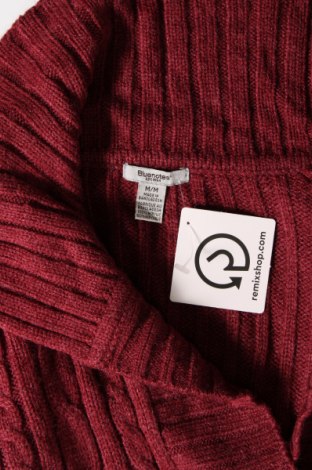 Γυναικείο πουλόβερ Bluenotes, Μέγεθος M, Χρώμα Κόκκινο, Τιμή 3,23 €