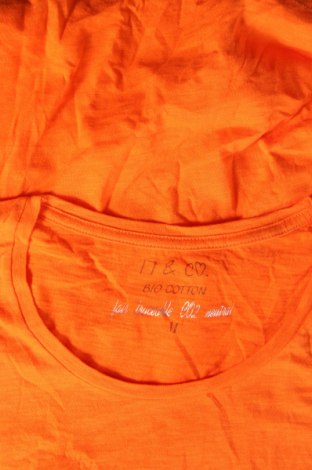 Damen Shirt 17 & Co., Größe M, Farbe Orange, Preis € 5,29