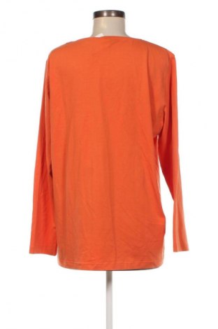 Damen Shirt Adagio, Größe XL, Farbe Orange, Preis 7,93 €