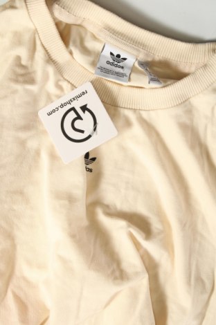 Damen Shirt Adidas Originals, Größe M, Farbe Ecru, Preis € 18,37