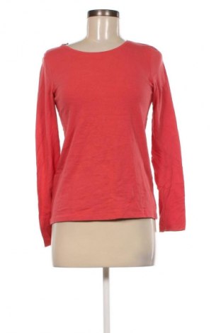 Damen Shirt Blue Motion, Größe S, Farbe Rosa, Preis € 13,22