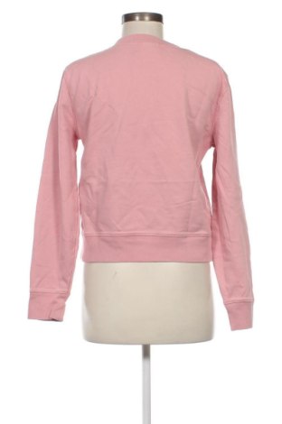 Damen Shirt Calvin Klein, Größe S, Farbe Rosa, Preis € 34,06