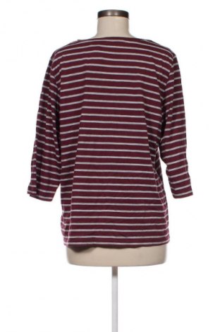 Damen Shirt Collection L, Größe XXL, Farbe Mehrfarbig, Preis 7,27 €