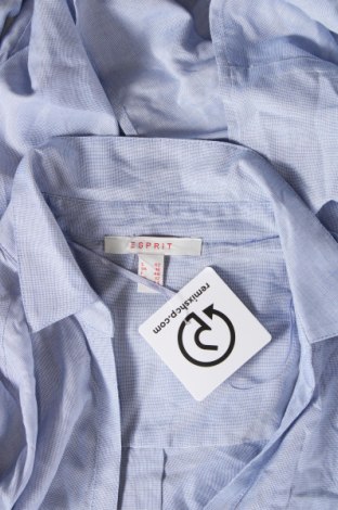Damen Shirt Esprit, Größe L, Farbe Blau, Preis 11,83 €