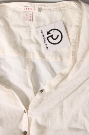 Damen Shirt Esprit, Größe S, Farbe Ecru, Preis 9,46 €