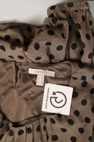 Дамска блуза Esprit, Размер L, Цвят Кафяв, Цена 17,00 лв.