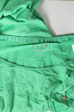 Γυναικεία μπλούζα Esprit, Μέγεθος L, Χρώμα Πράσινο, Τιμή 11,57 €