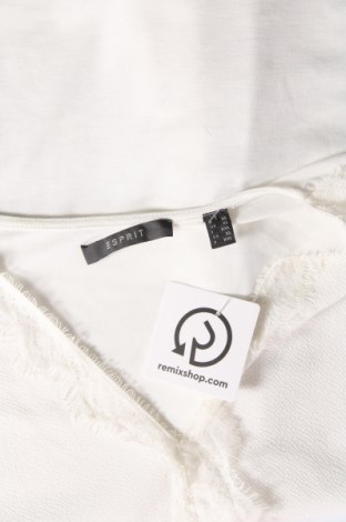 Γυναικεία μπλούζα Esprit, Μέγεθος XL, Χρώμα Λευκό, Τιμή 10,94 €