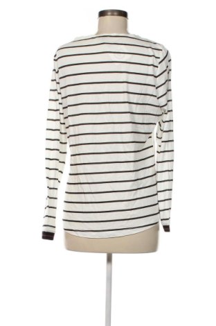 Γυναικεία μπλούζα Kenny S., Μέγεθος M, Χρώμα Πολύχρωμο, Τιμή 10,52 €