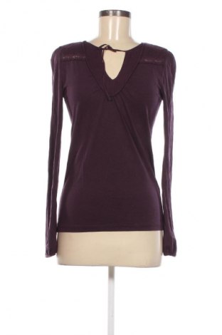 Damen Shirt Massimo Dutti, Größe S, Farbe Lila, Preis 8,17 €