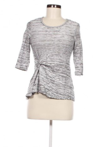 Damen Shirt Max Studio, Größe L, Farbe Mehrfarbig, Preis € 16,70