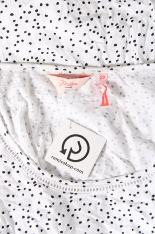 Damen Shirt Millers, Größe XL, Farbe Mehrfarbig, Preis € 7,27